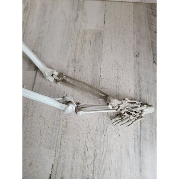 Halloween hanging skeleton‎ prop home decor bone rib cage - Picture 10 of 12